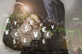 海安集团：公司已经具备一定的业务规模，进入相对的稳定期