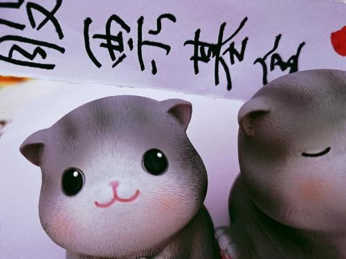 股票基金